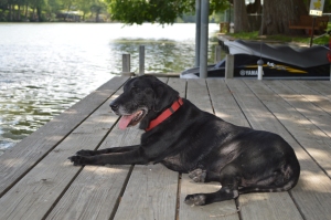 She spent her last few days with us at her happy place: the lake. As it turns out, her final resting place is there as well, complete with a water view. 